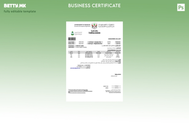 Модерен стил на лиценца за тргување во ОАЕ Шарџа Шаблон за Word и PDF шаблон